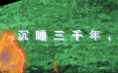 数字光魔裸眼3D电影艺术是结合裸眼3D显示技术与电影艺术创作的创新形式