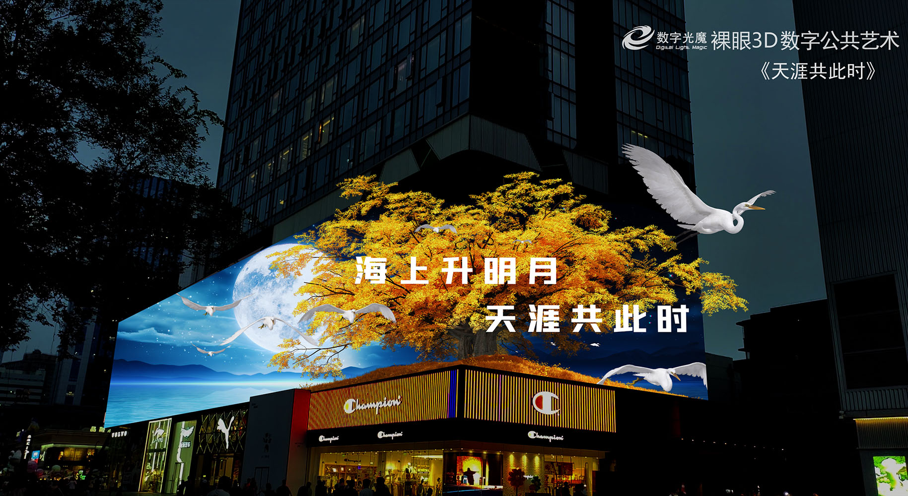 微信图片_20250103120437.jpg